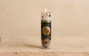 San Martín Caballero